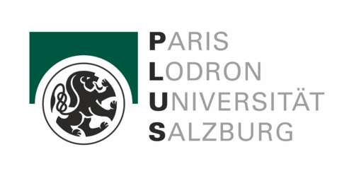 logo-plus